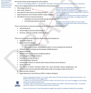 First Report Screenshot 02.png